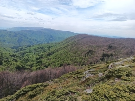 IMG 20250505 134417