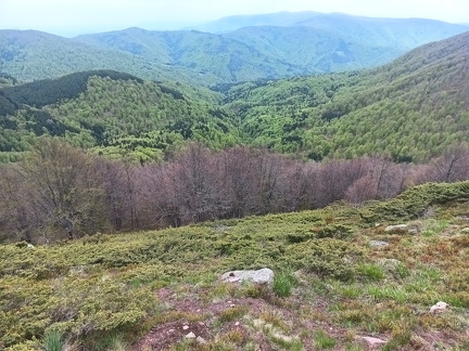 IMG 20250505 134711