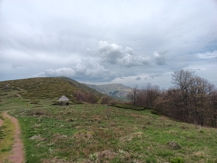 IMG 20250505 132711